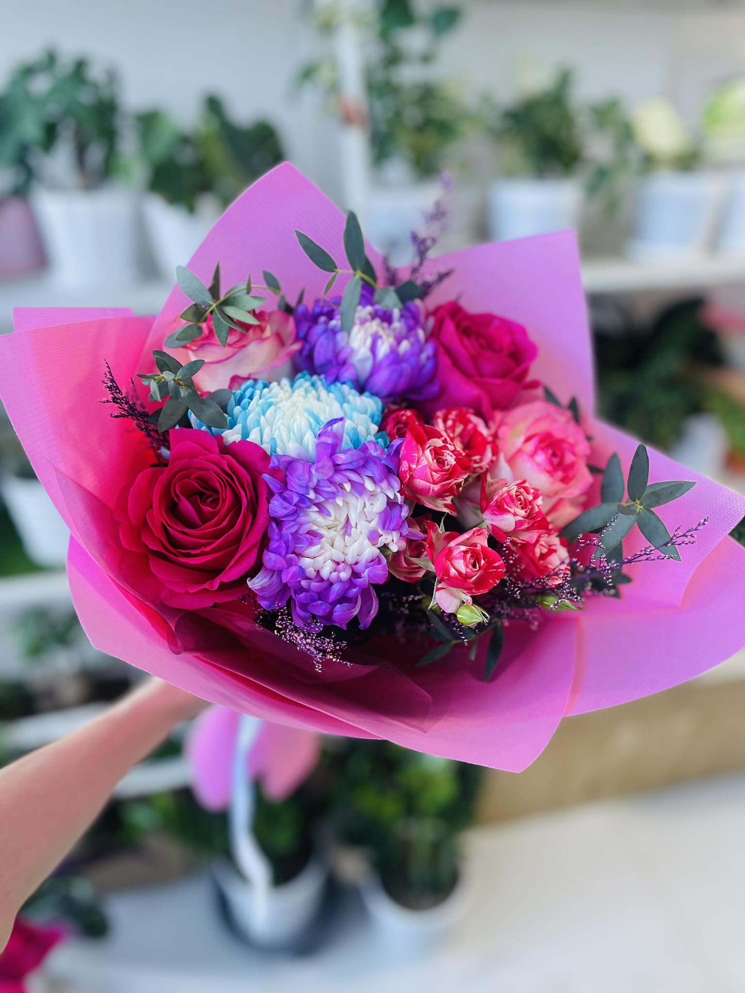 Классикалық қызыл раушан